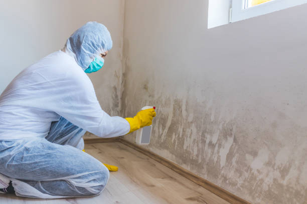 Attic mold on roof deck in Kingsville home